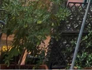 Immobile residenziale · Caserta (Caserta)