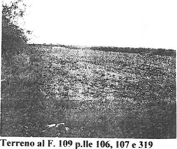 Altra categoria · San Severo (Foggia)