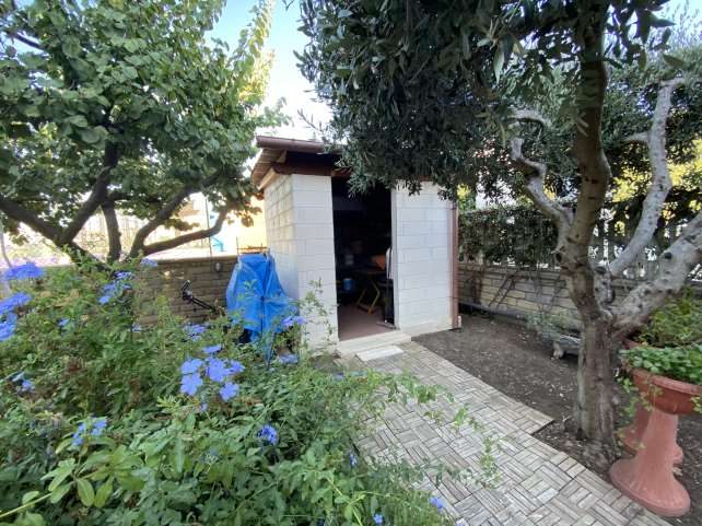 Altra categoria · Cerveteri (Roma)