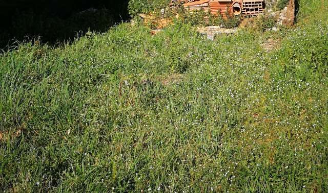 Immobile commerciale · Sorano (Grosseto)