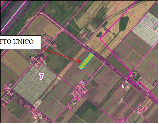 Altra categoria · Capaccio Paestum (Salerno)