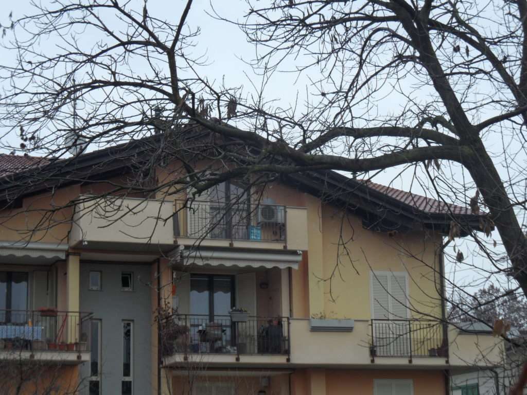 Immobile residenziale · Pozzuolo Martesana (Milano)