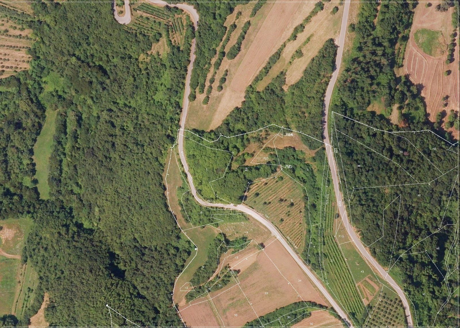 Altra categoria · Gambugliano (Vicenza)