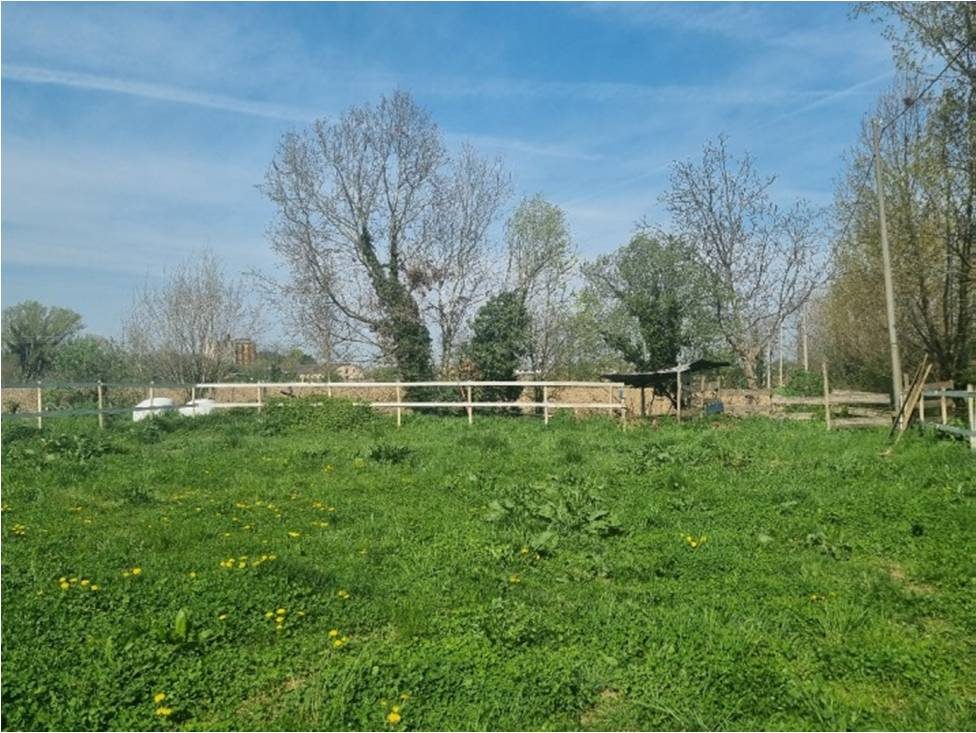 Immobile residenziale · Cologna Veneta (Verona)