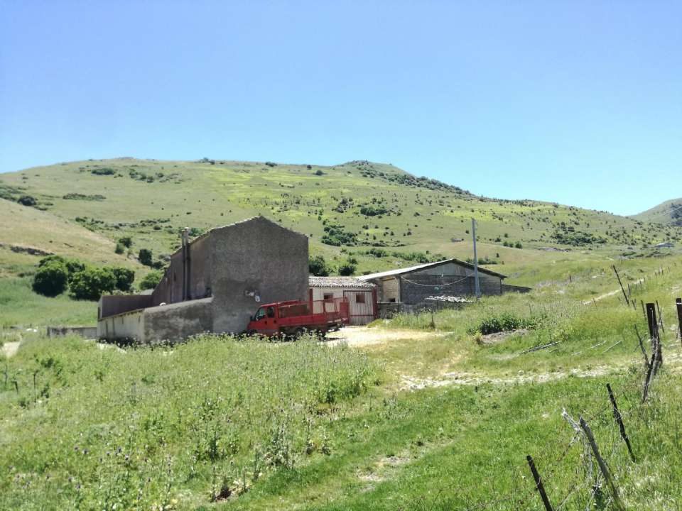 Altra categoria