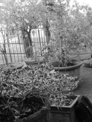Immobile commerciale · San Colombano al Lambro (Milano)