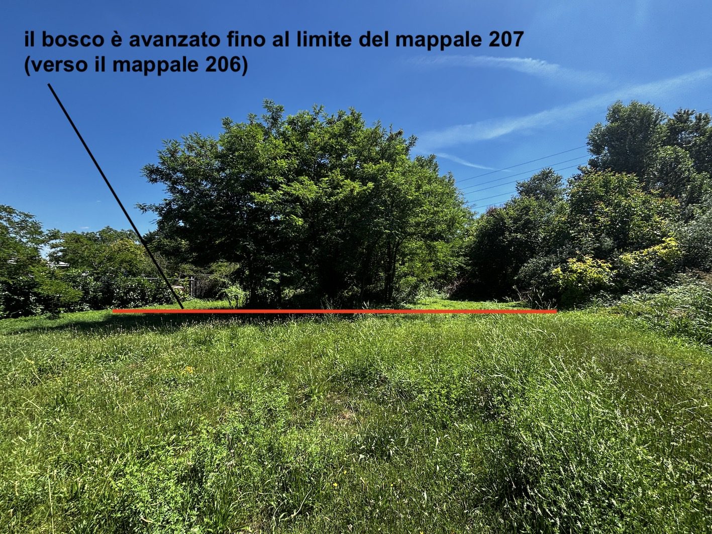 Altra categoria · Desenzano del Garda (Brescia)