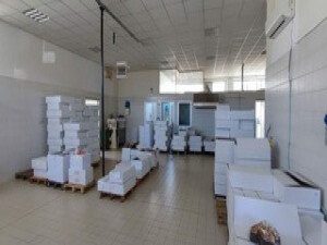 Immobile commerciale · Licciana Nardi (Massa-Carrara)