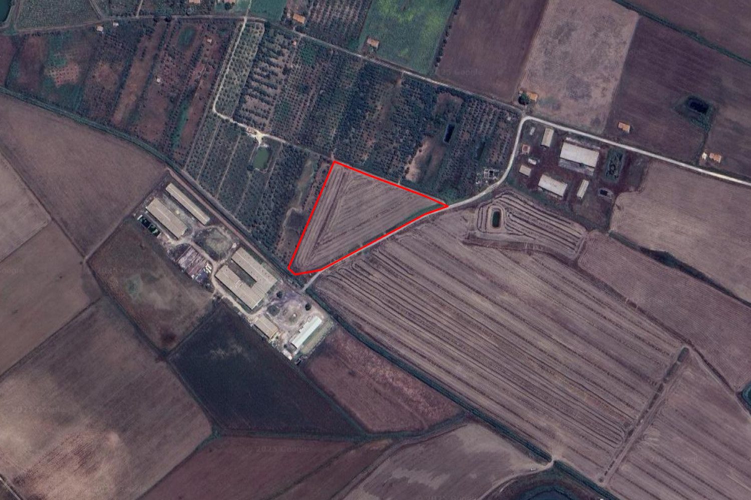 Altra categoria · Lentini (Siracusa)