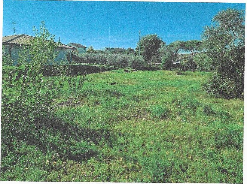 Altra categoria · Castiglione del Lago (Perugia)