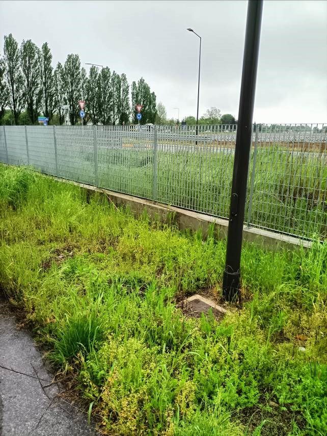 Immobile residenziale · Curtatone (Mantova)