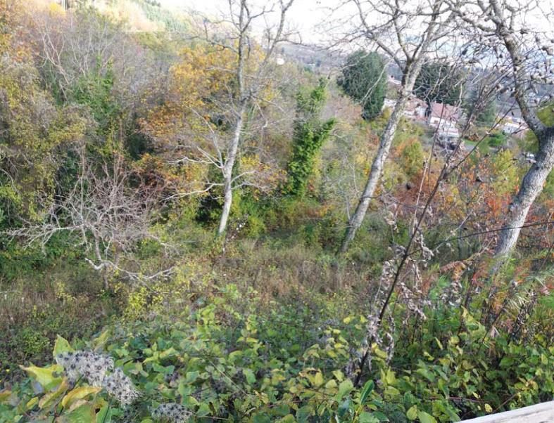 Altra categoria · Decollatura (Catanzaro)