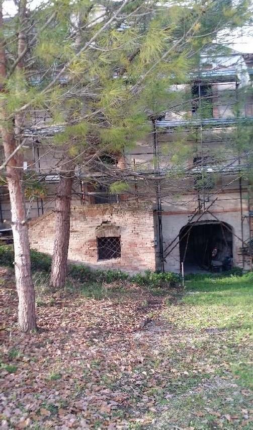 Altra categoria · Montegranaro (Fermo)