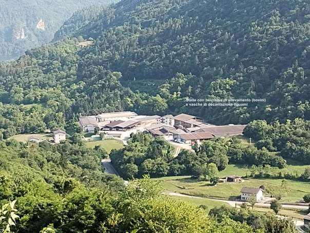 Immobile residenziale · Arsiè (Belluno)