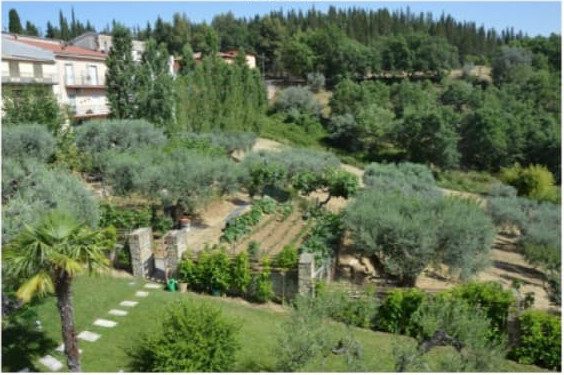 Altra categoria · San Giorgio Lucano (Matera)