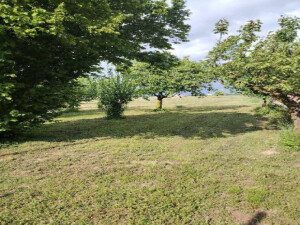 Immobile residenziale · Lendinara (Rovigo)