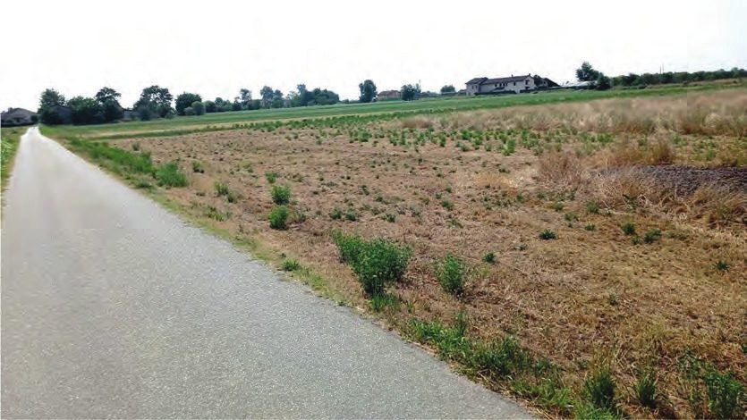 Altra categoria · Saluzzo (Cuneo)
