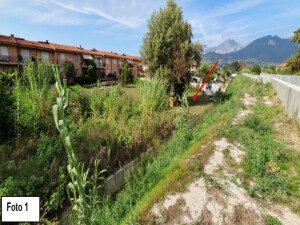 Altra categoria · Massa (Massa-Carrara)