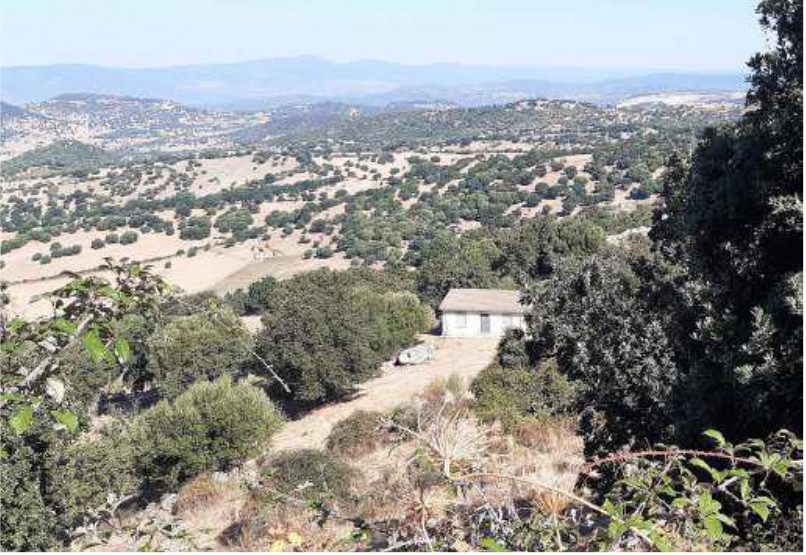 Altra categoria · Olzai (Nuoro)