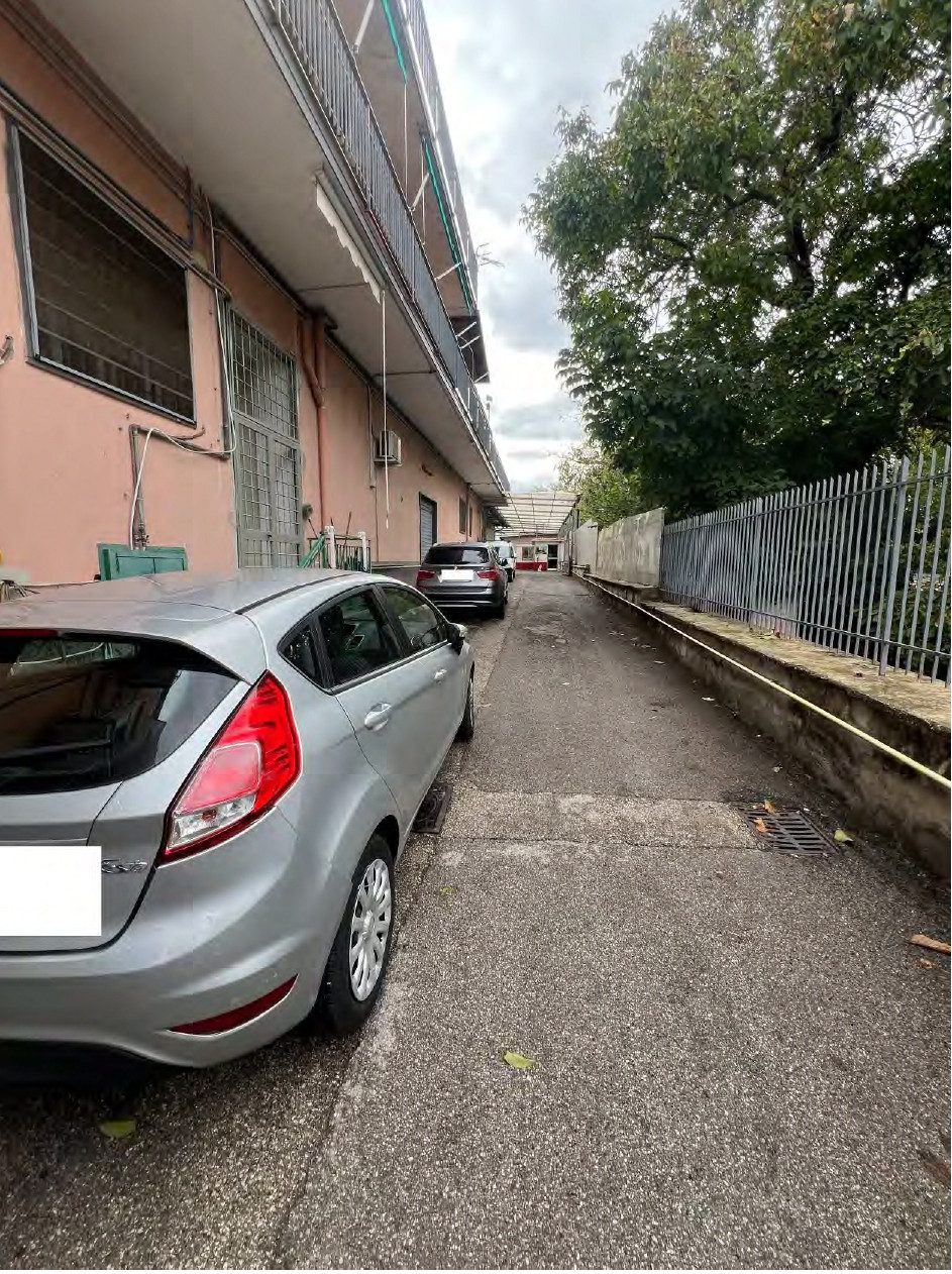 Immobile commerciale · Palma Campania (Napoli)