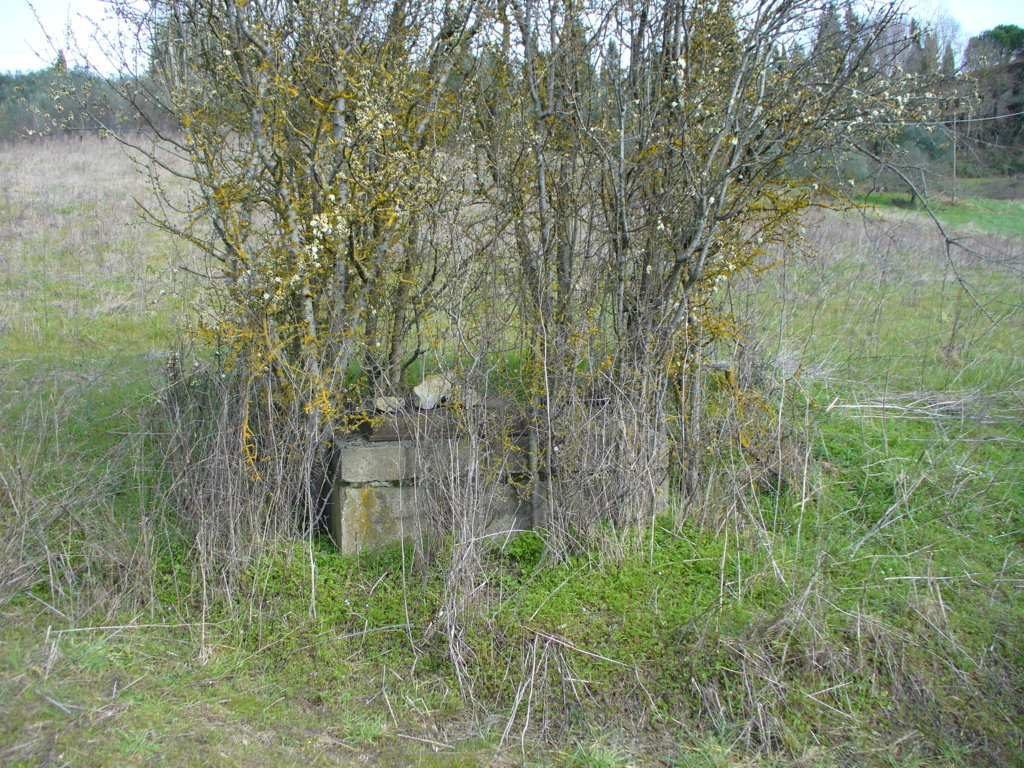 Altra categoria · Figline e Incisa Valdarno (Firenze)