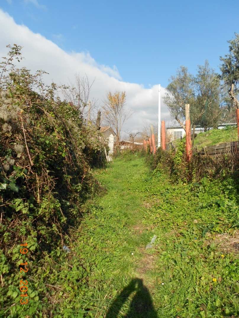 Altra categoria · Solofra (Avellino)