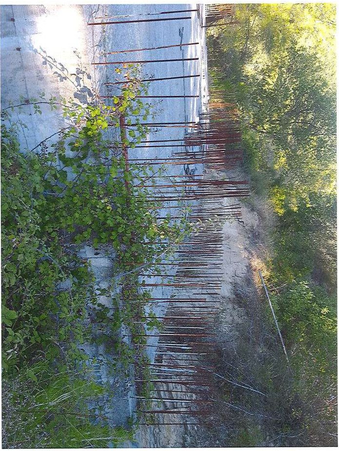 Altra categoria · Andora (Savona)