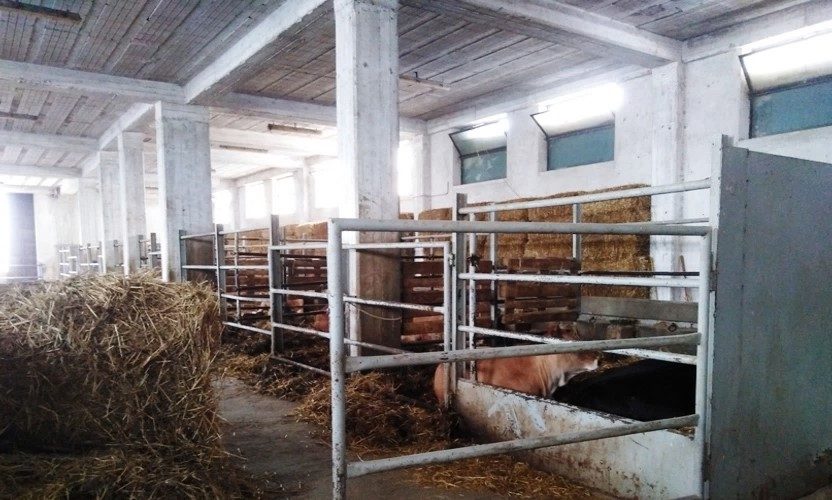 Altra categoria · Scurcola Marsicana (L'Aquila)