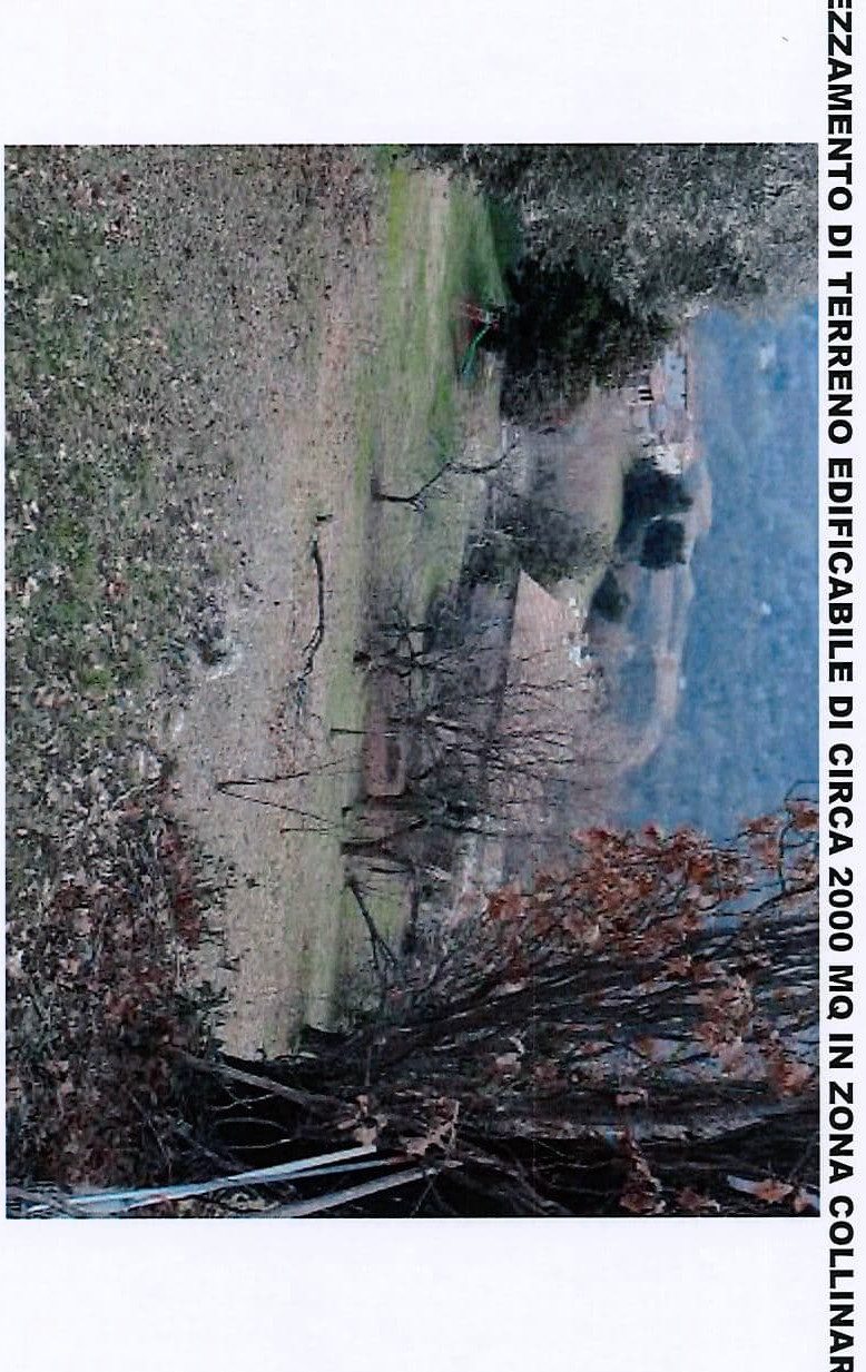 Altra categoria · Tarzo (Treviso)