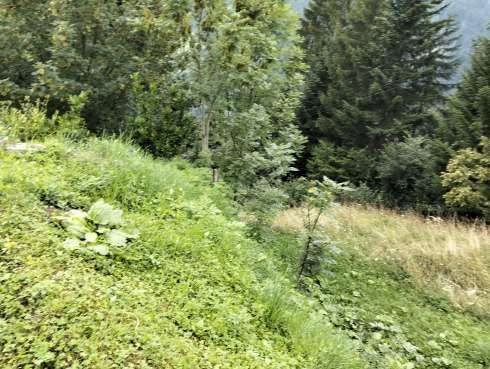 Immobile residenziale · Paularo (Udine)