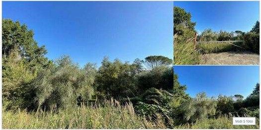 Immobile industriale · Montefiascone (Viterbo)