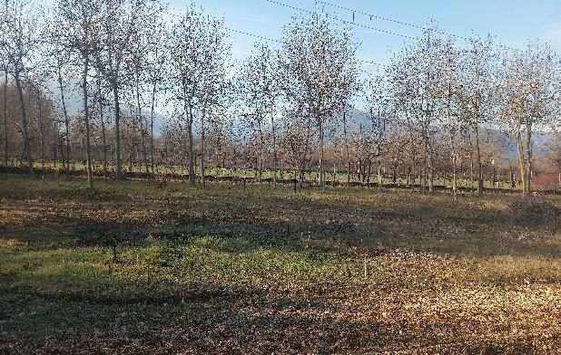 Altra categoria · Sulmona (L'Aquila)