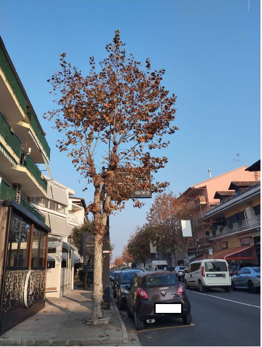 Immobile residenziale · Giugliano in Campania (Napoli)
