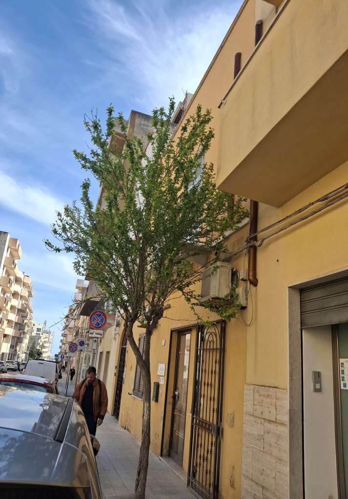 Immobile residenziale · Marsala (Trapani)