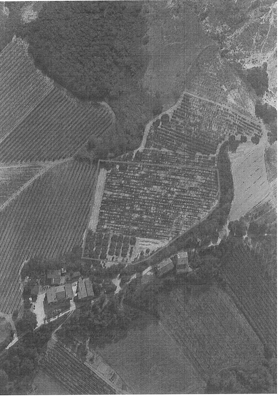 Altra categoria · Ripatransone (Ascoli Piceno)