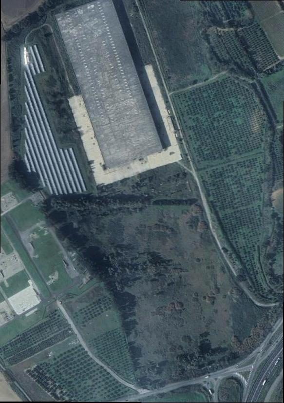 Altra categoria · Feroleto Antico (Catanzaro)