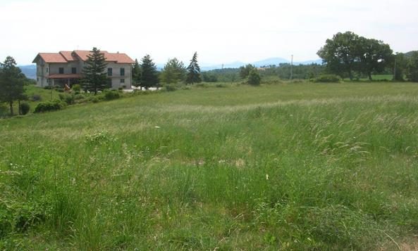 Immobile residenziale · Carpegna (Pesaro e Urbino)