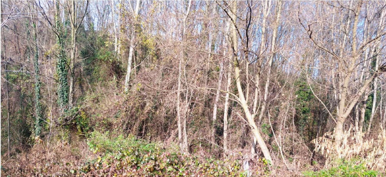 Altra categoria · Castello di Brianza (Lecco)