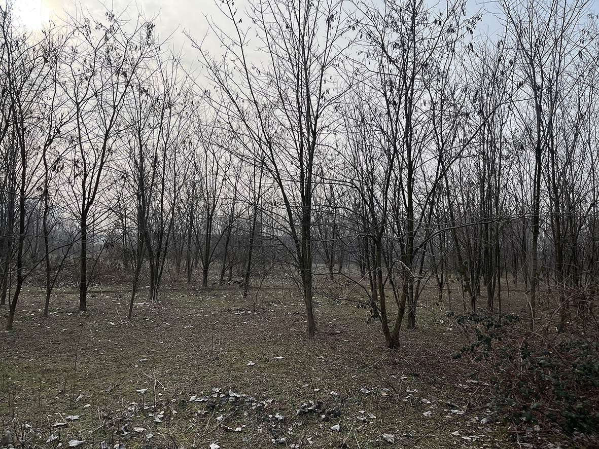 Altra categoria · Pero (Milano)