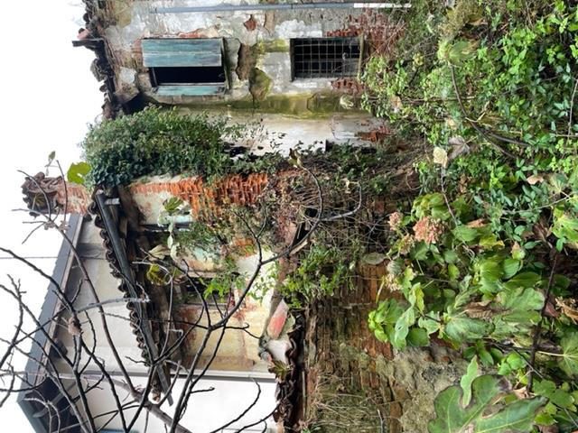 Immobile residenziale · Basaluzzo (Alessandria)