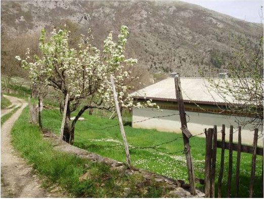 Altra categoria · Monte San Giacomo (Salerno)