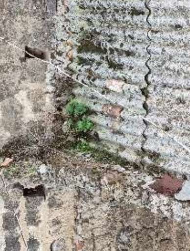 Immobile residenziale · Lusciano (Caserta)