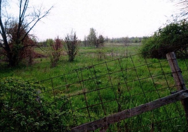 Altra categoria · Nonantola (Modena)