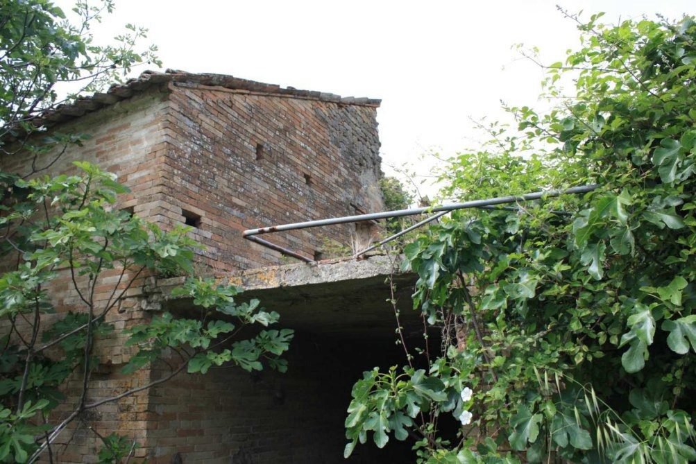 Altra categoria · Petritoli (Fermo)