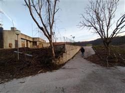 Altra categoria · Rionero in Vulture (Potenza)