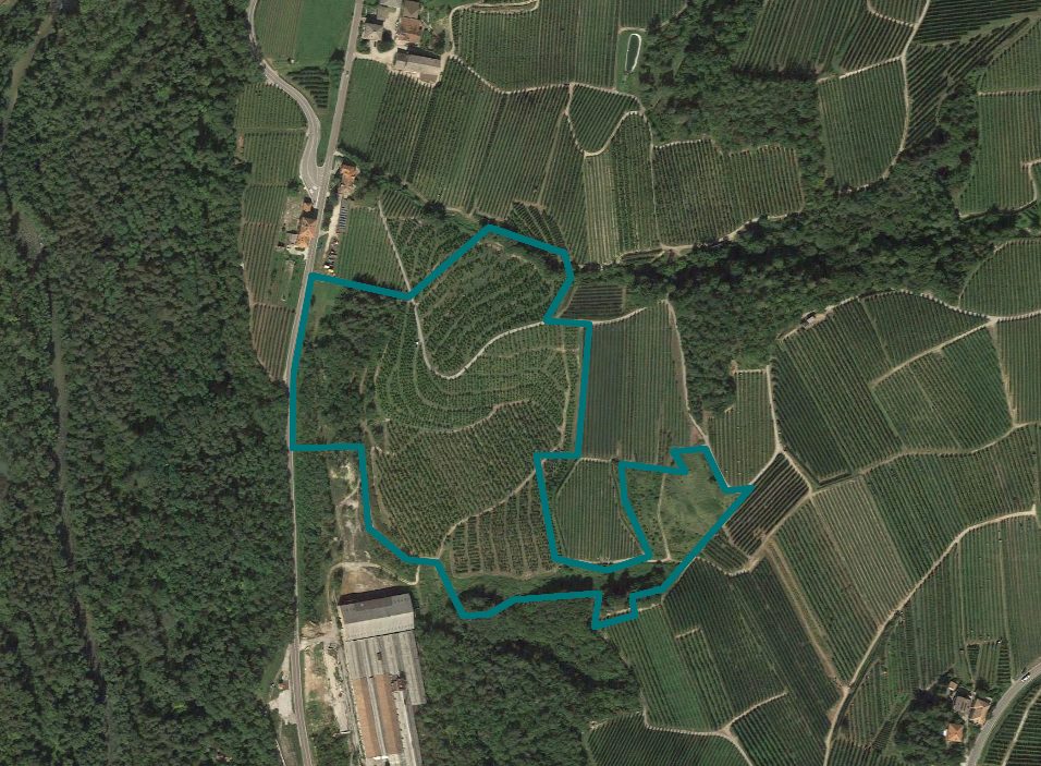 Altra categoria · Ton (Trento)