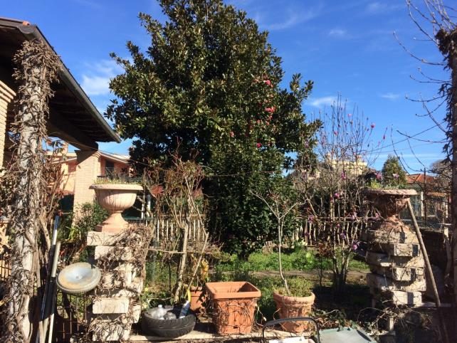 Immobile residenziale · Labico (Roma)