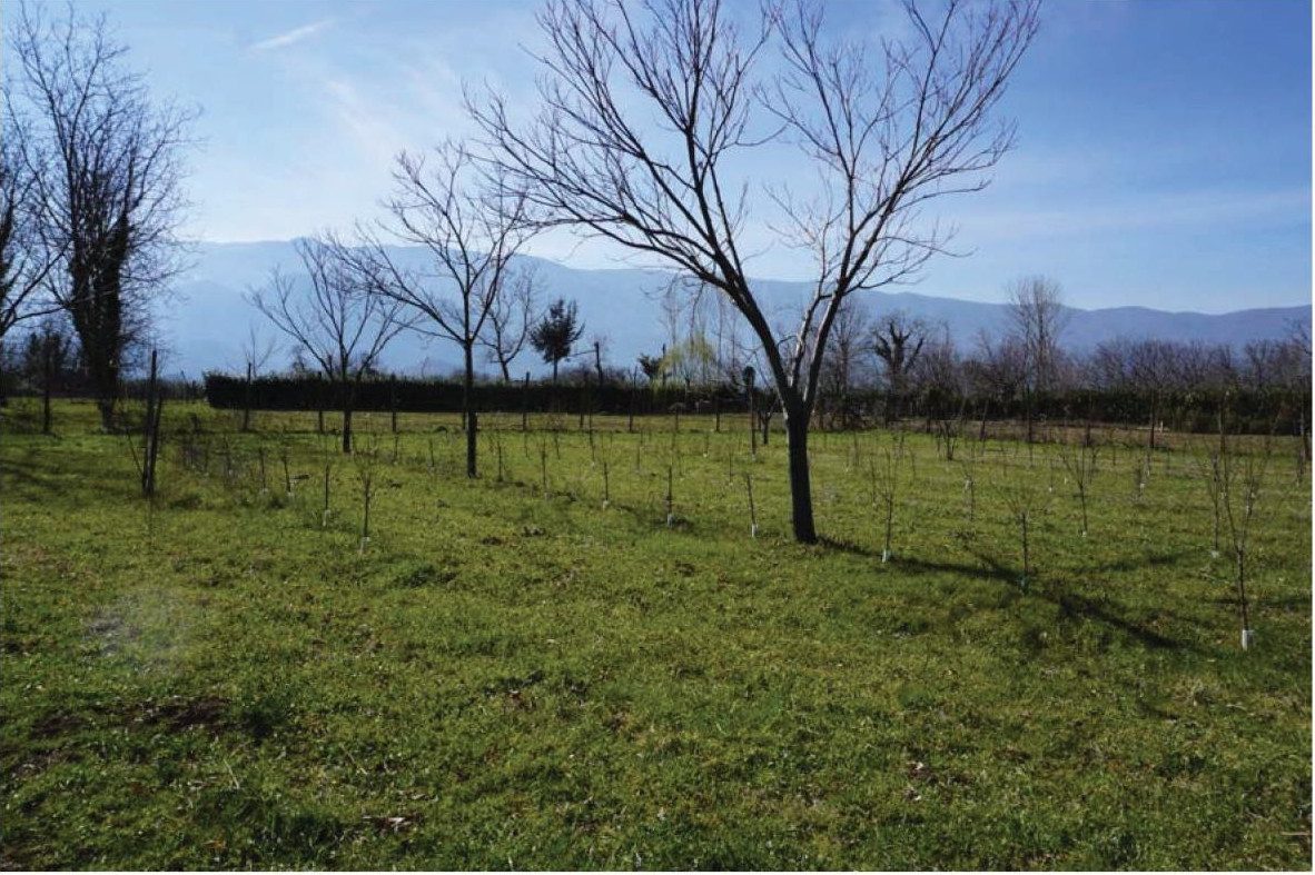 Immobile residenziale · Montesarchio (Benevento)