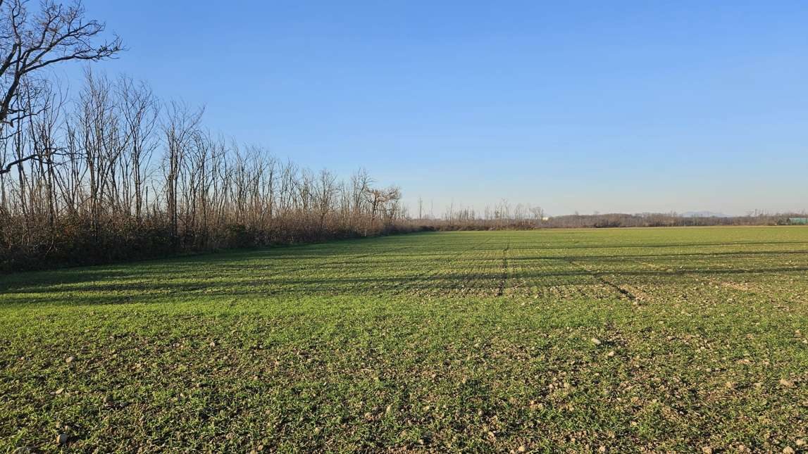 Altra categoria · Dairago (Milano)