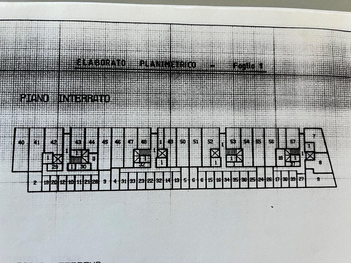 Altra categoria · Codogno (Lodi)